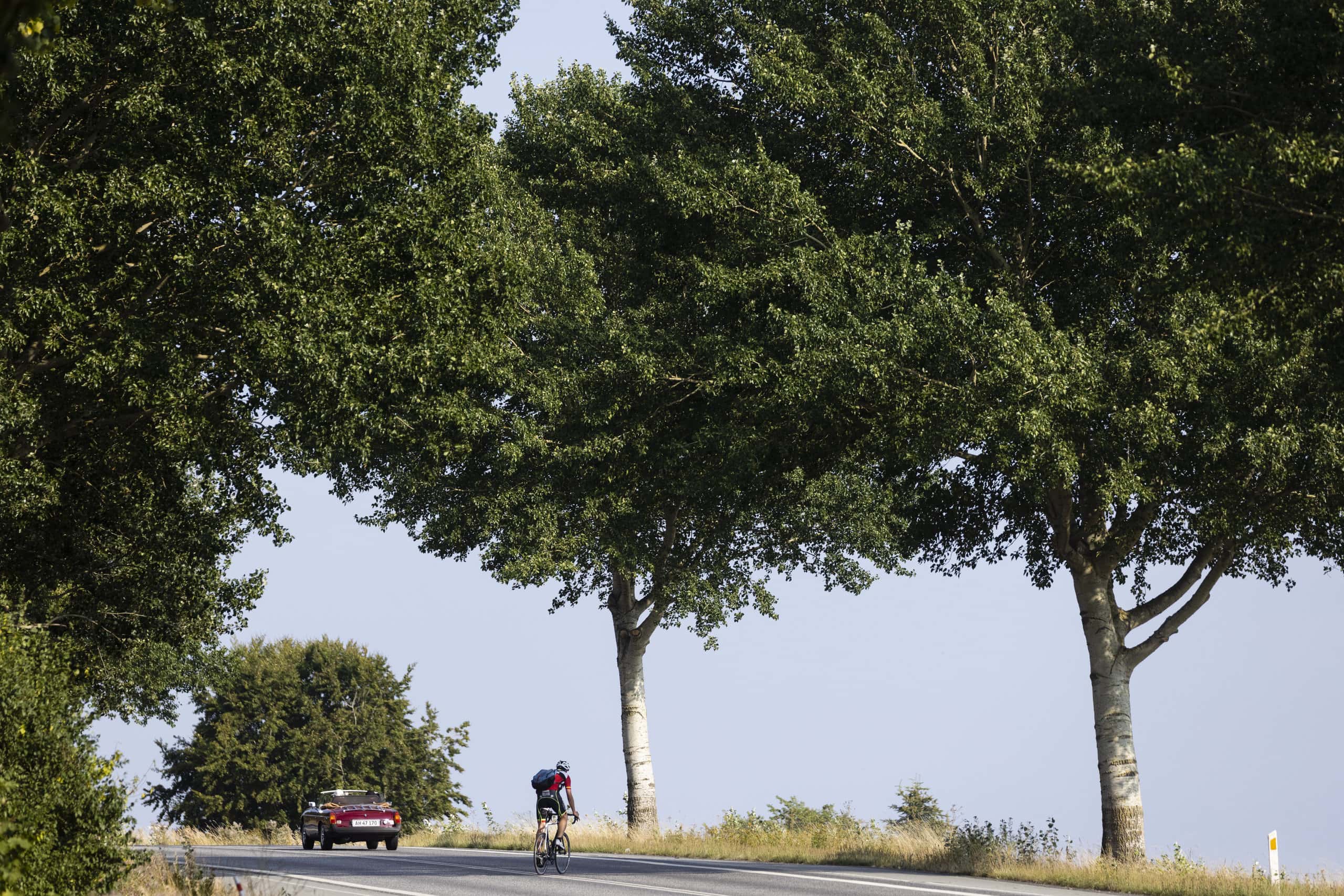 LYNGE_20220815_TH_0062